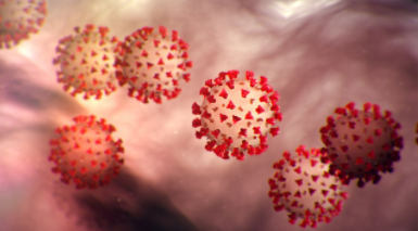 Record Breaking Moments